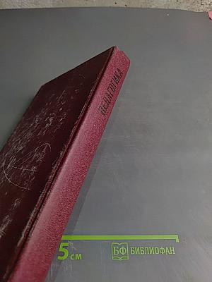 Педагогика