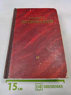 Как закалялась сталь. Рожденные бурей