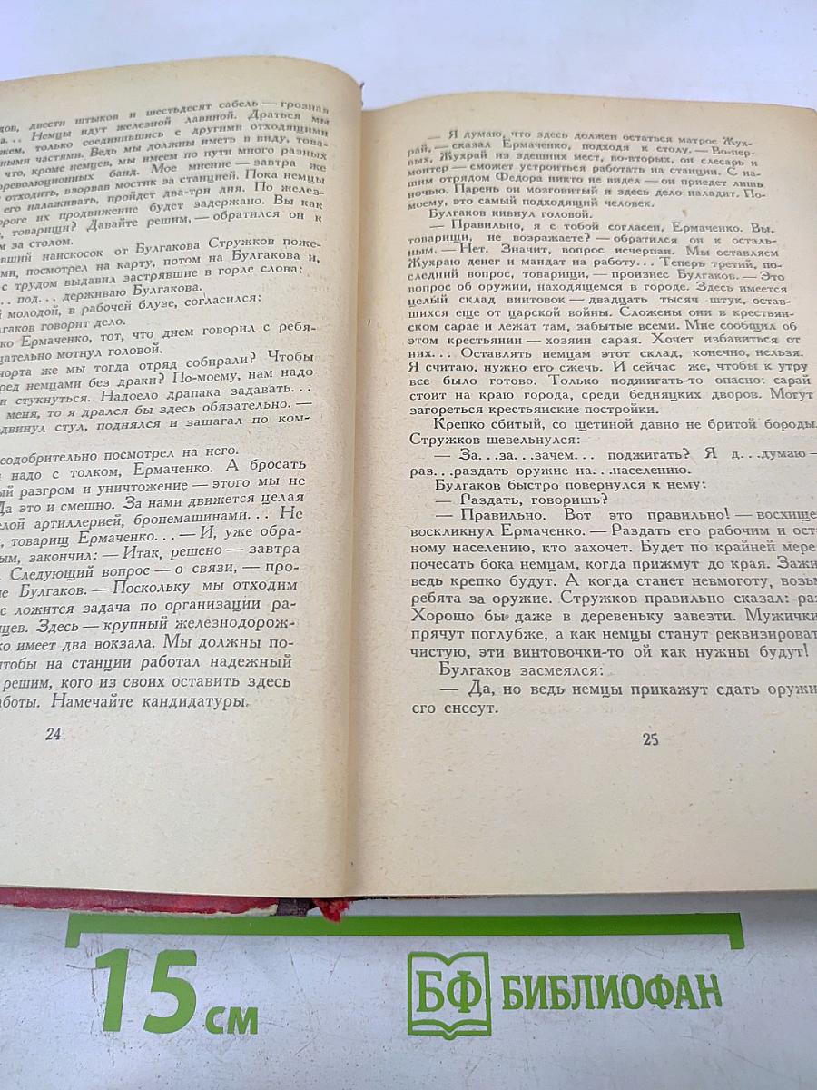 Как закалялась сталь. Рожденные бурей