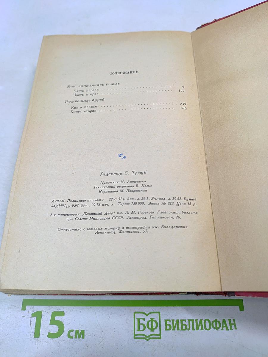 Как закалялась сталь. Рожденные бурей