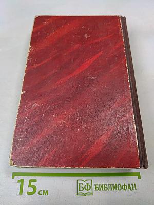 Как закалялась сталь. Рожденные бурей