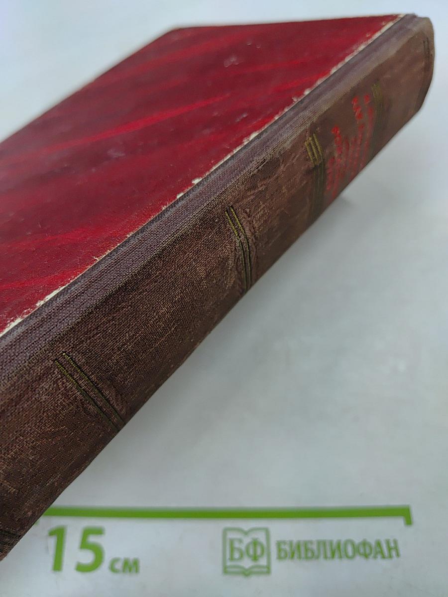 Как закалялась сталь. Рожденные бурей