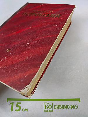 Как закалялась сталь. Рожденные бурей