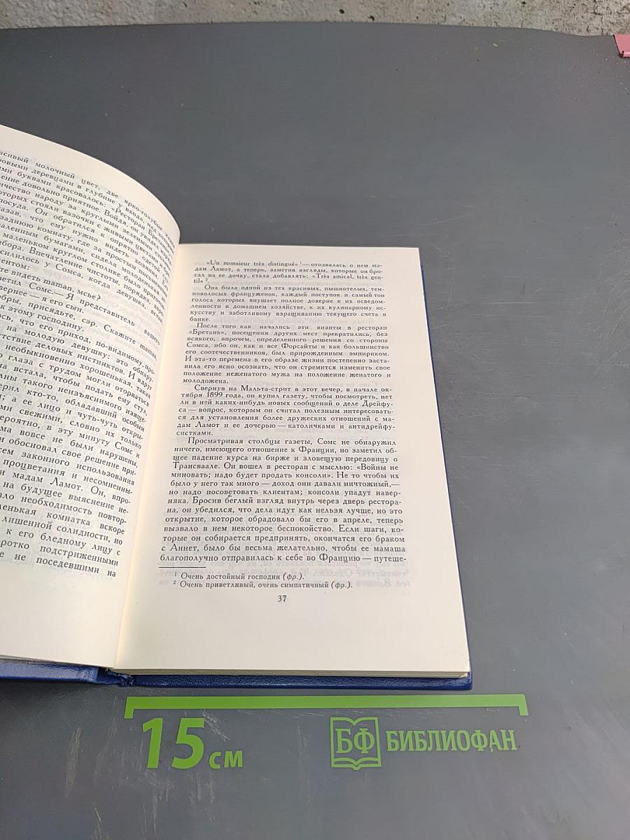 Сага о Форсайтах. Книга вторая