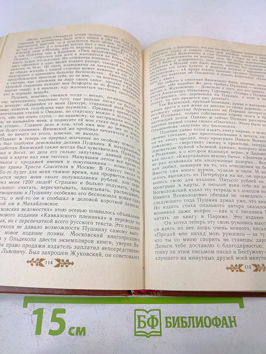 Пушкин в Михайловском