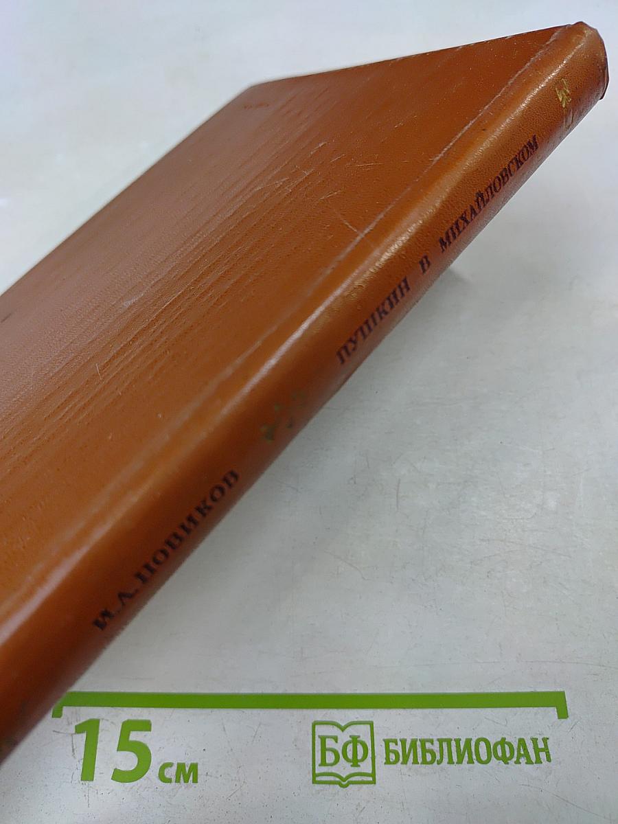 Пушкин в Михайловском