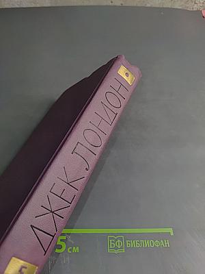 Собрание сочинений в четырнадцати томах. Том 5