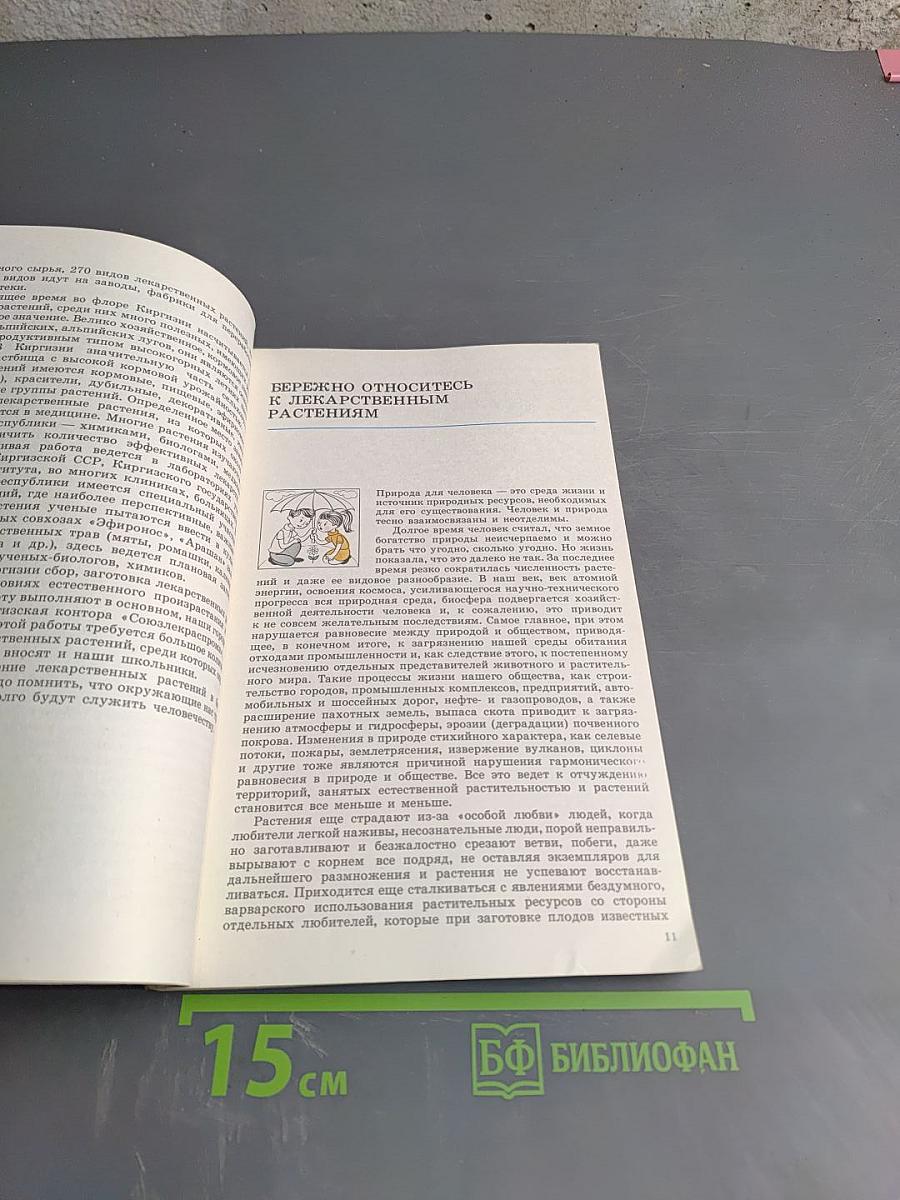 Лекарственные растения Киргизии