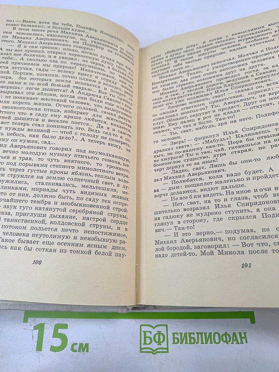 Вишневый омут. Хлеб - имя существительное