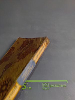 Многосказочный Паша