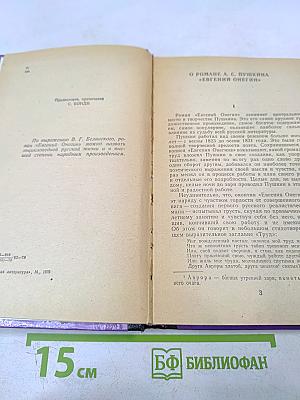 Евгений Онегин. Роман в стихах. Для средней школы
