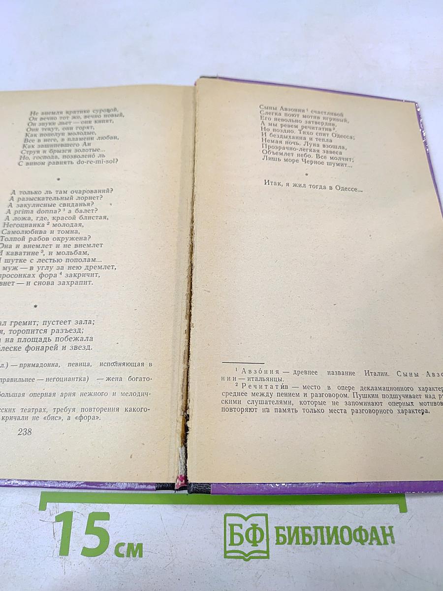 Евгений Онегин. Роман в стихах. Для средней школы