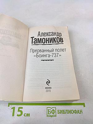 Прерванный полет «Боинга-737»