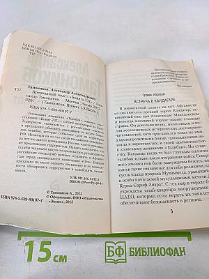 Прерванный полет «Боинга-737»