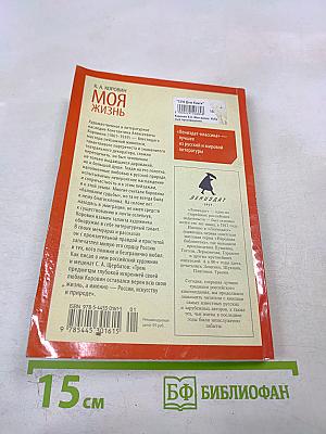 Моя жизнь