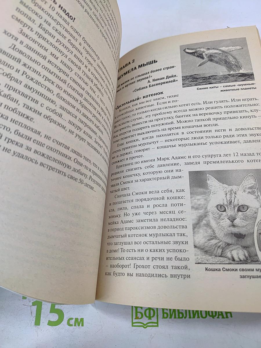 Загадочные животные