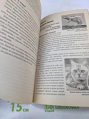 Загадочные животные