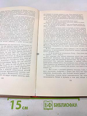 Мечта. Человек-зверь. Том 13