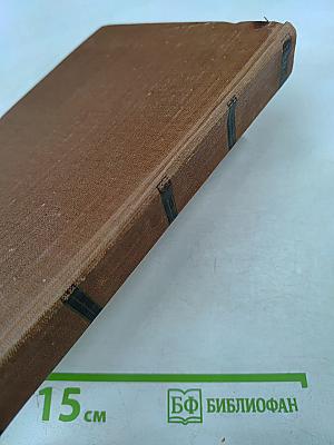 Мечта. Человек-зверь. Том 13