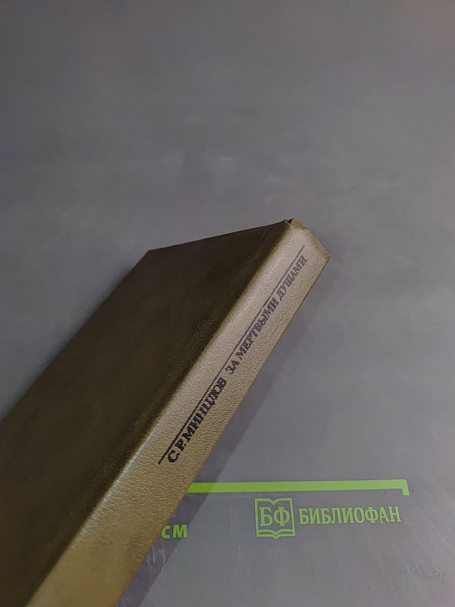 За мертвыми душами