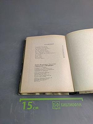 Чайковский в Петербурге