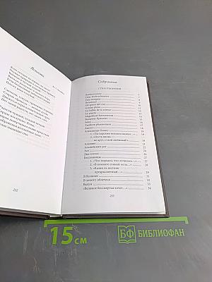 Утренняя звезда