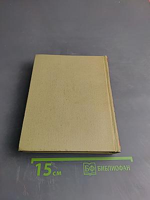 Первенцы свободы