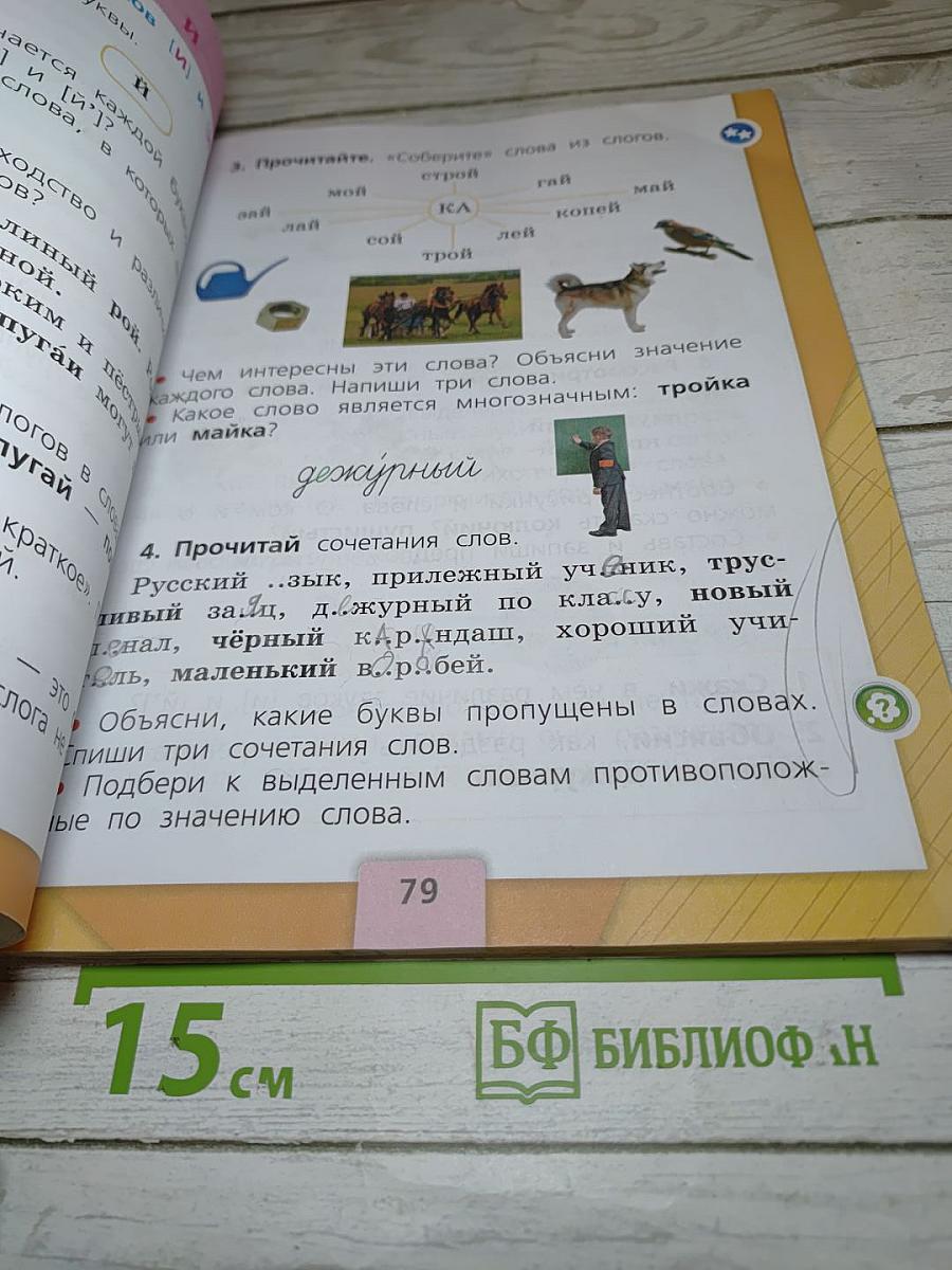 Русский язык. 1 класс. Часть 1