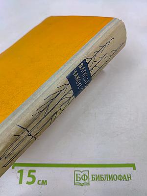 Год жизни. Дороги, которые мы выбираем