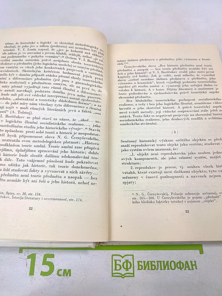 Teoretické problémy socialistického realismu