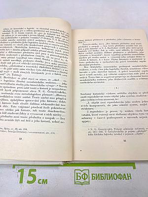 Teoretické problémy socialistického realismu