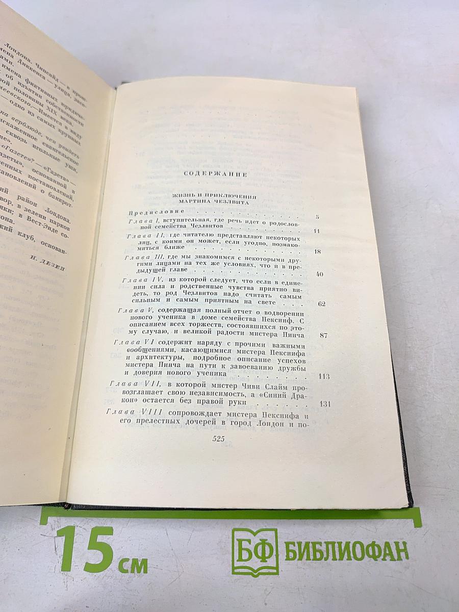 Жизнь и приключения Мартина Чезлвита. Собрание сочинений. Том десятый