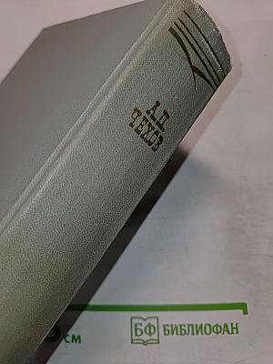 Собрание сочинений. Том первый: Рассказы 1880-1883