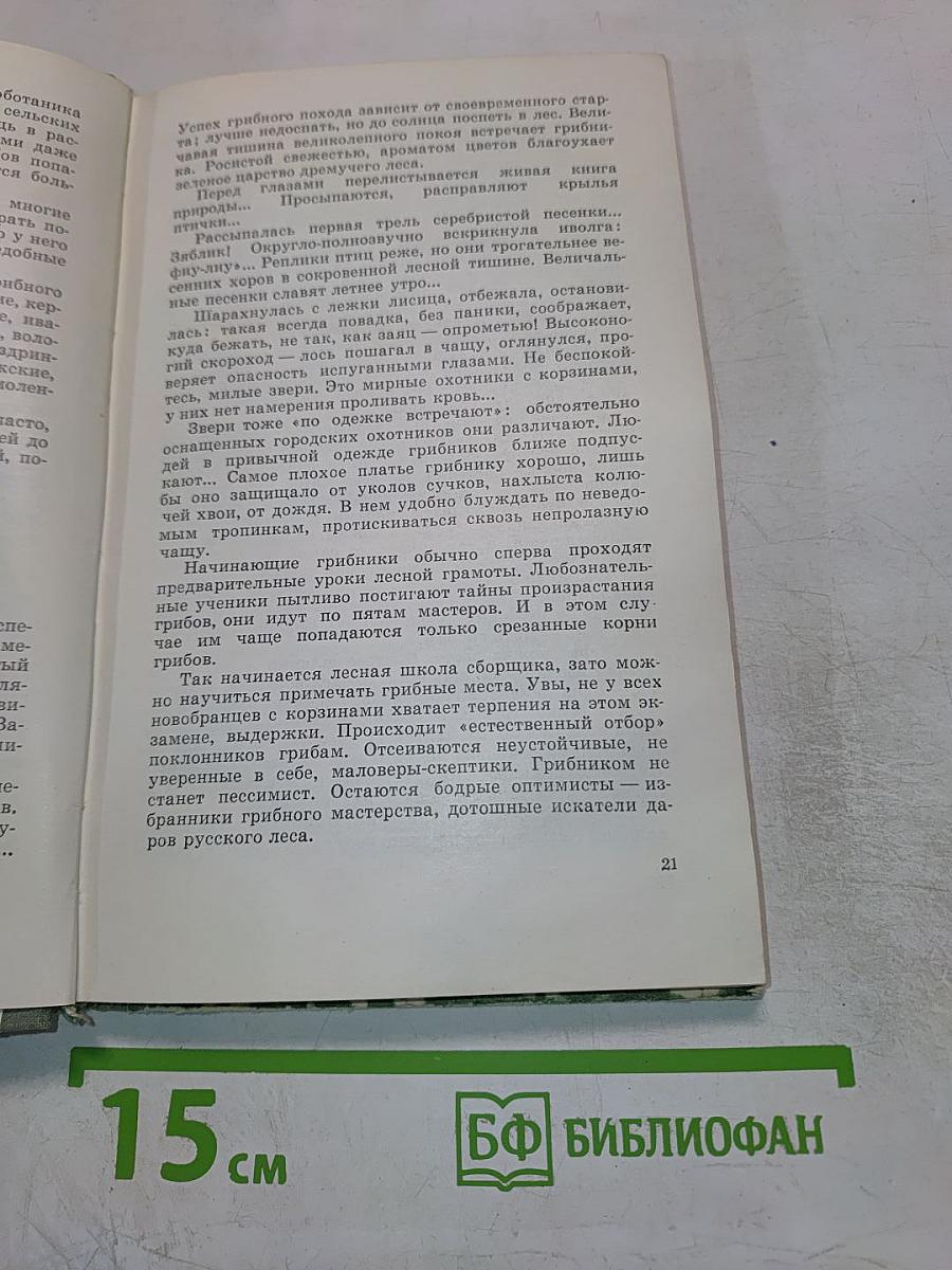 Дары русского леса