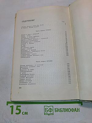 Дары русского леса