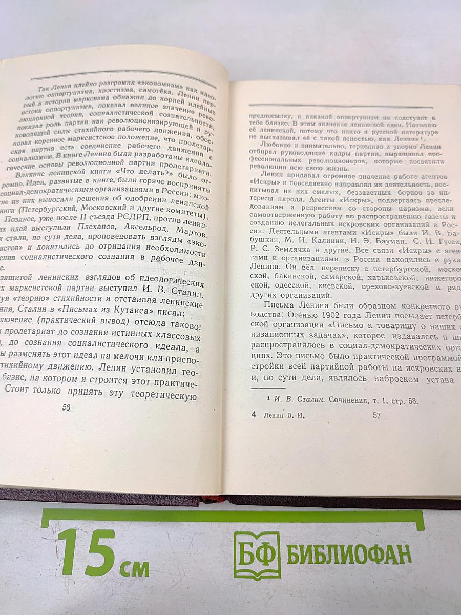Ленин Владимир Ильич. Краткая биография