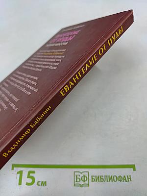 Евангелие от Иуды. Тайная миссия