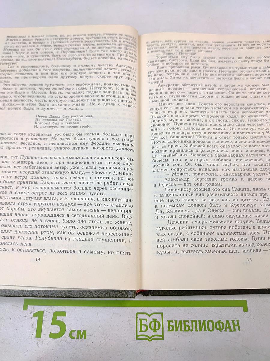 Пушкин в Михайловском