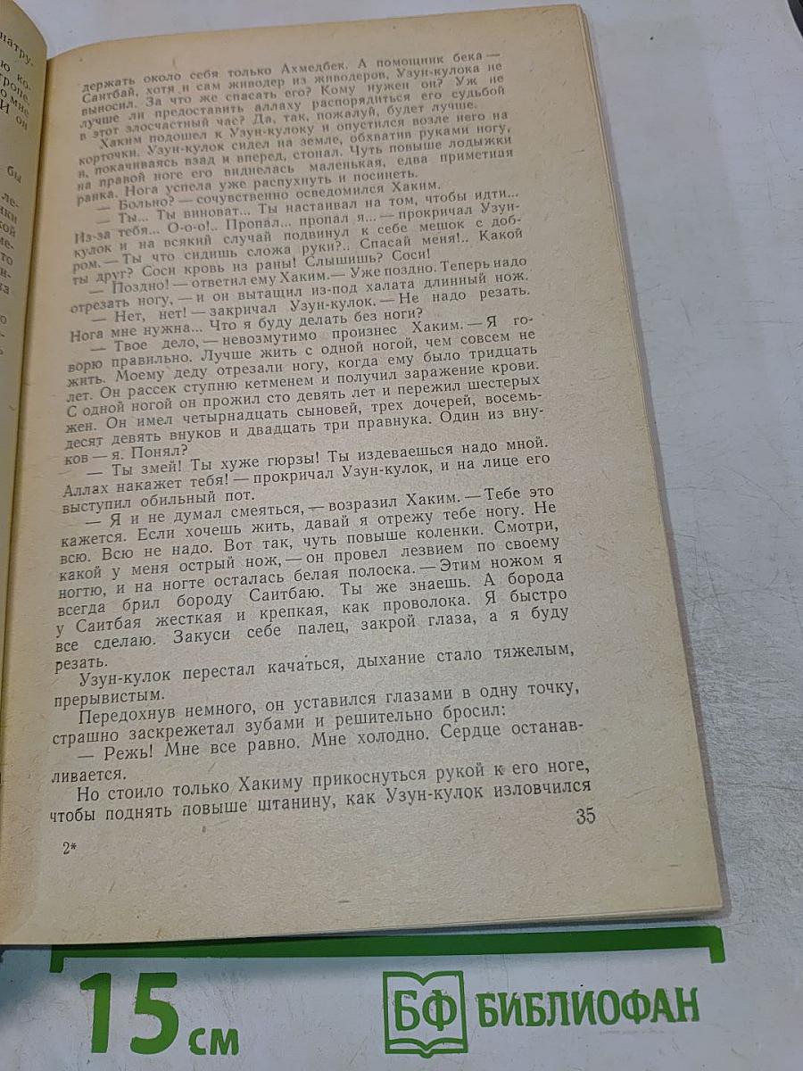 Клинок Эмира. Конец „Осиного гнезда”