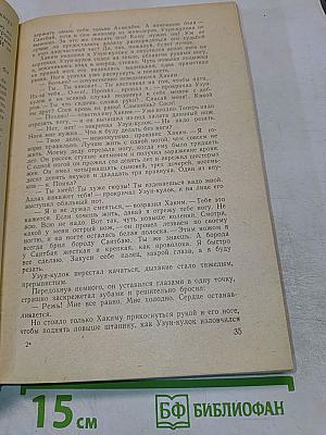 Клинок Эмира. Конец „Осиного гнезда”