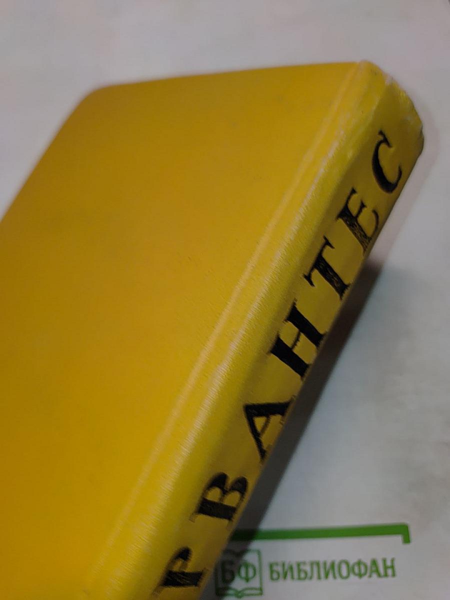 Собрание сочинений в пяти томах. Том первый. Дон Кихот Ламанчский