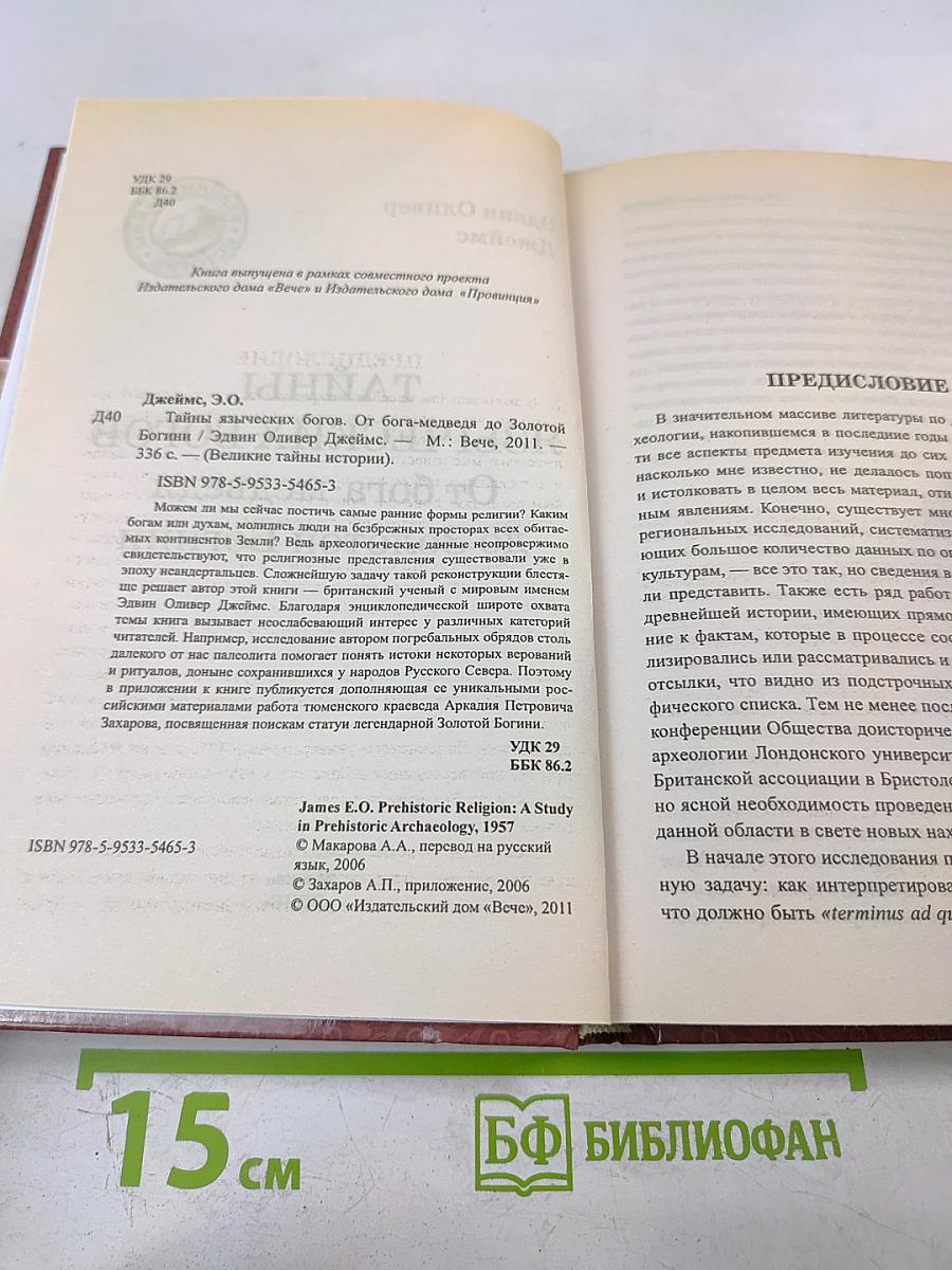 Тайны языческих богов: От бога-медведя до Золотой Богини