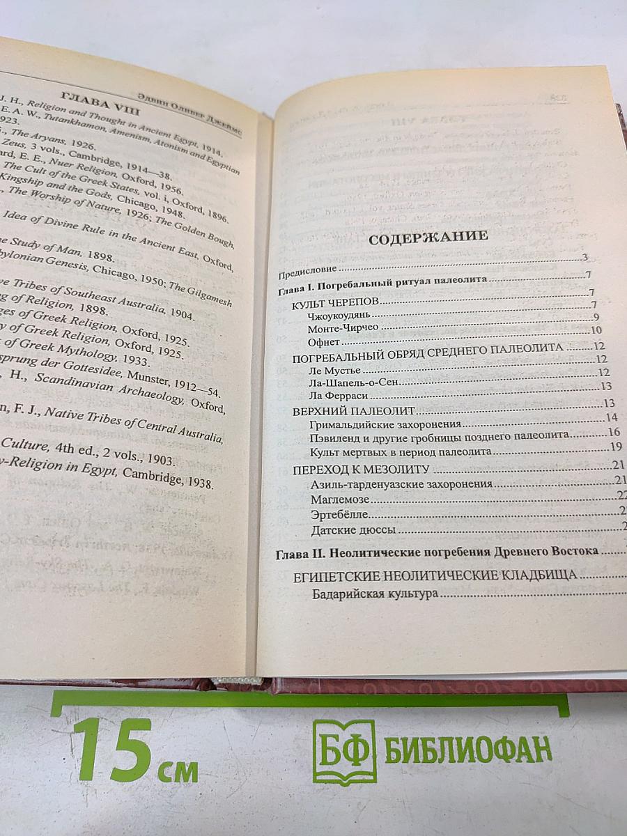Тайны языческих богов: От бога-медведя до Золотой Богини