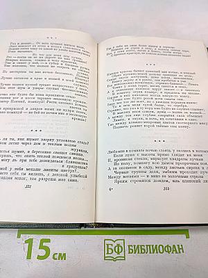 А.А. Фет. Стихотворения