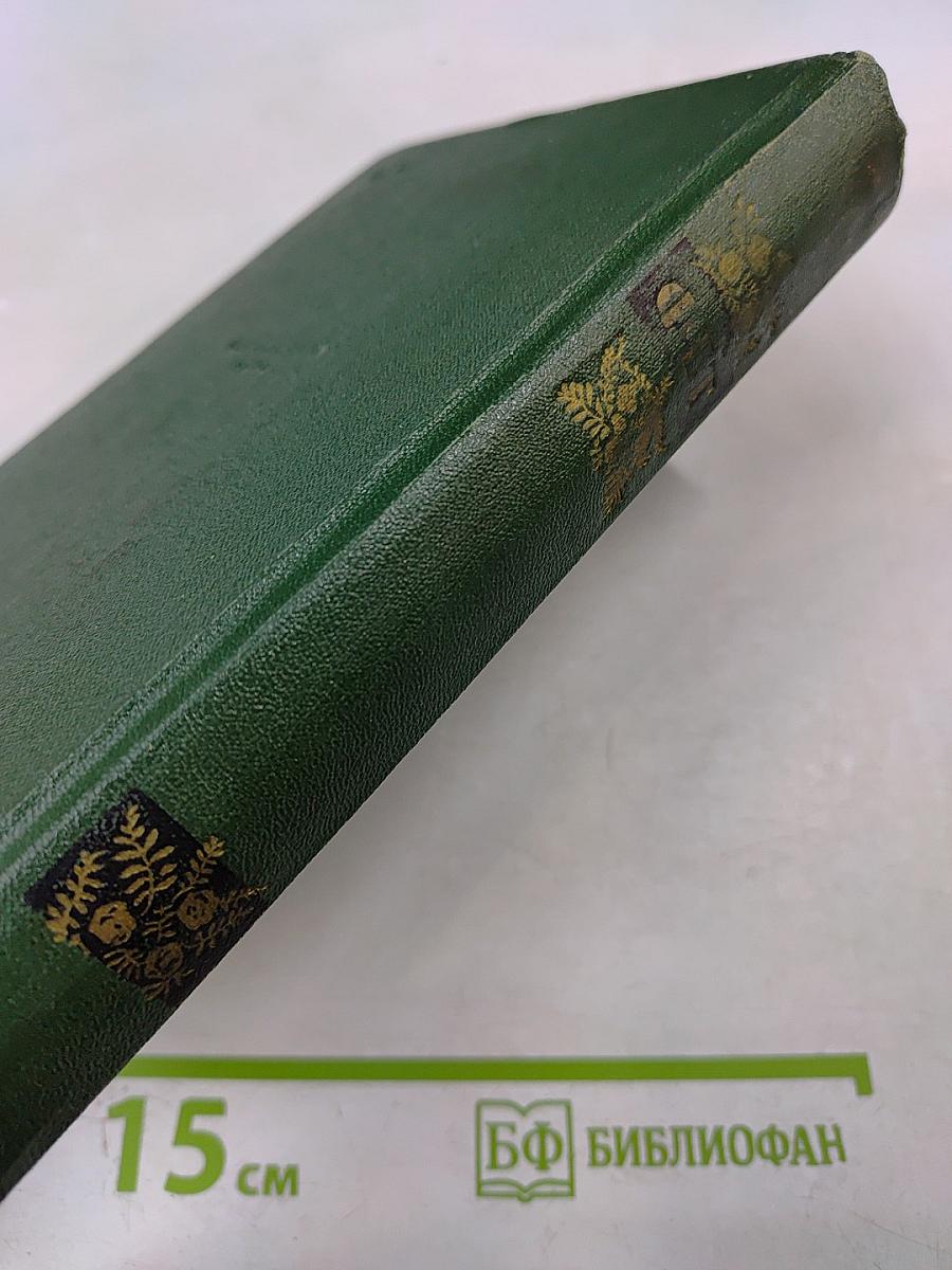 А.А. Фет. Стихотворения