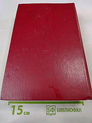 Первые радости. Необыкновенное лето