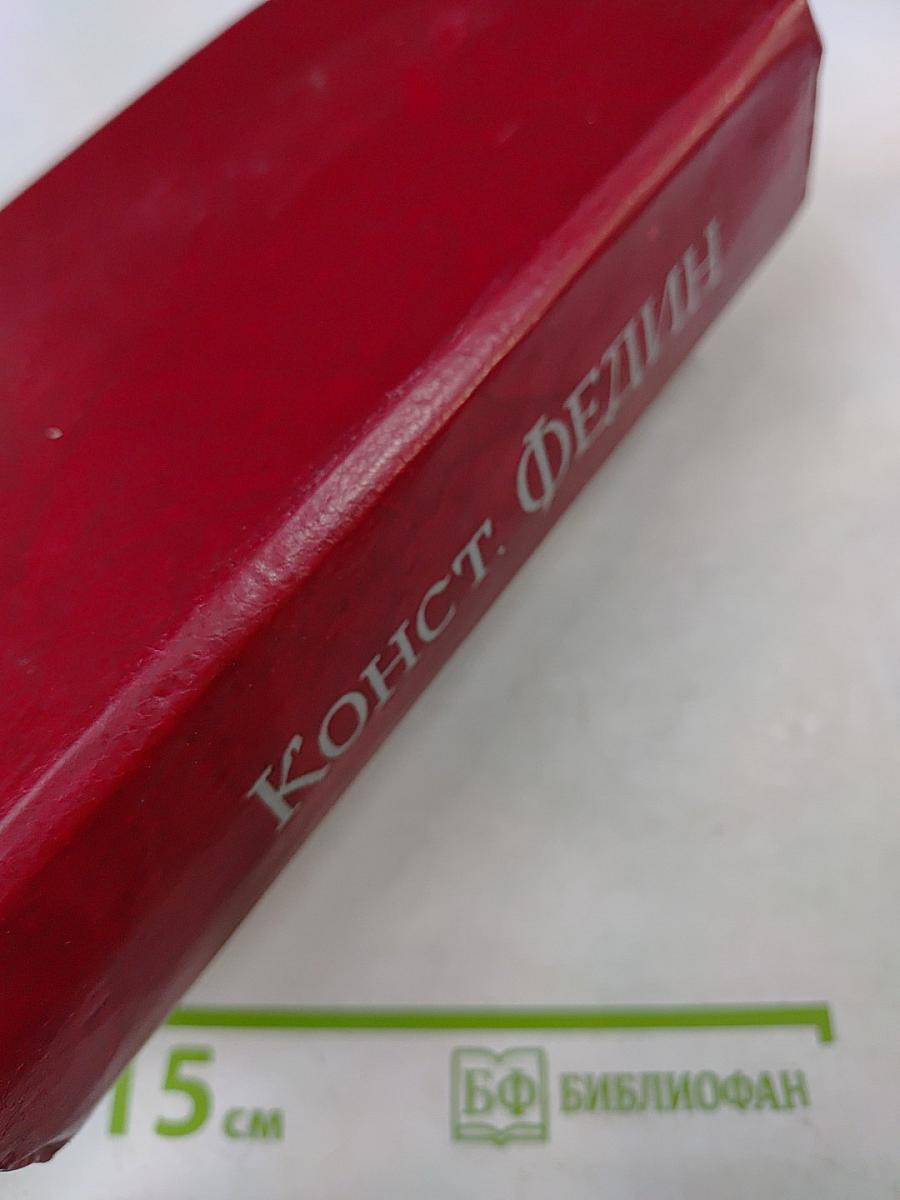 Первые радости. Необыкновенное лето