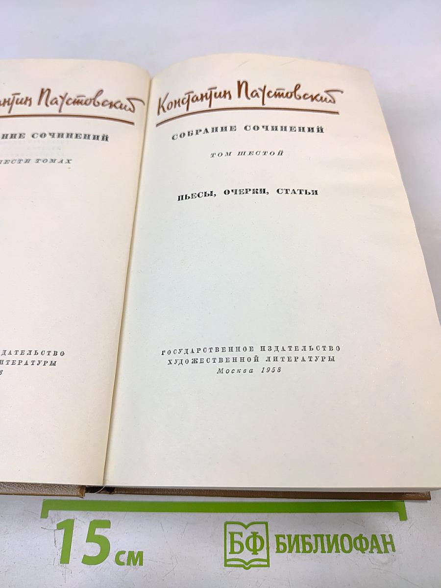Собрание сочинений. Том шестой: Пьесы, Очерки, Статьи