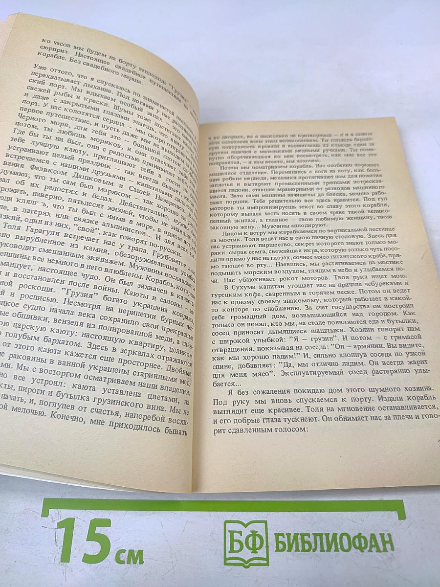 Владимир, или Прерванный полет