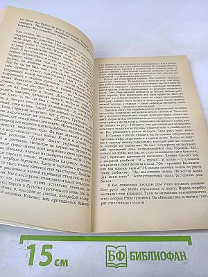 Владимир, или Прерванный полет